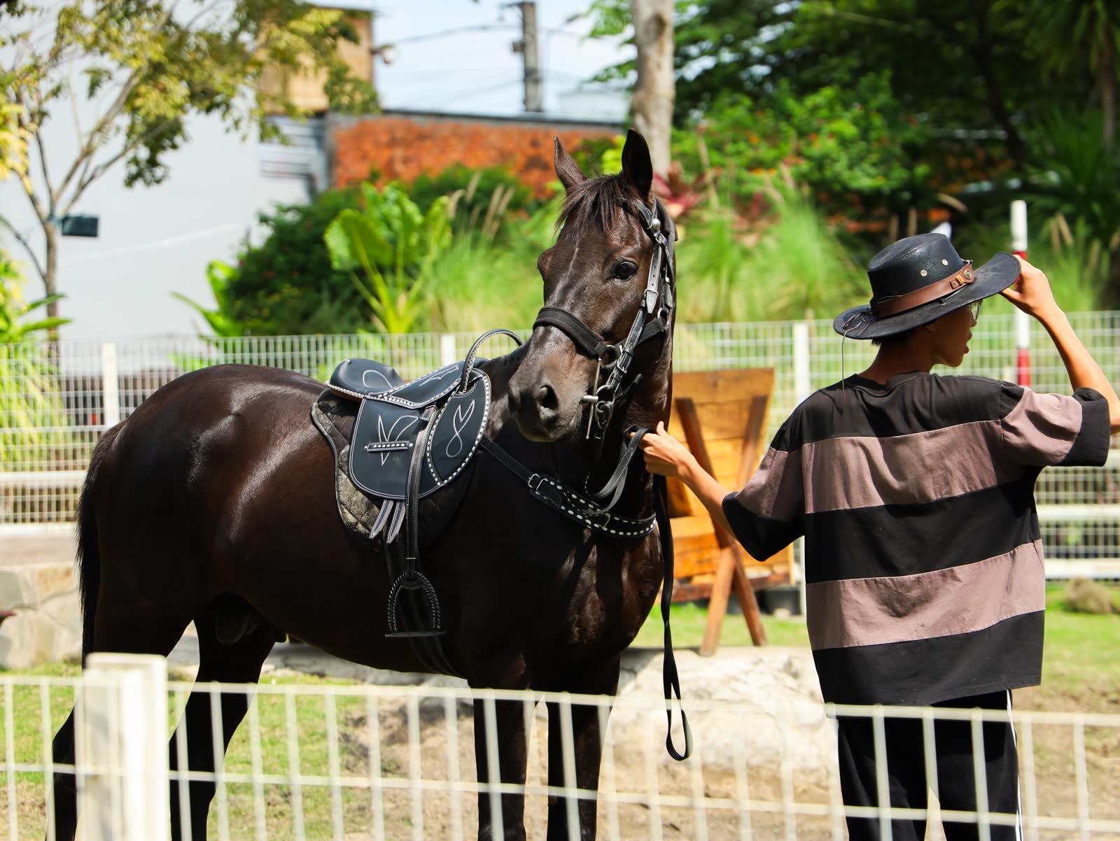 Ông Quan Farm - ảnh 2