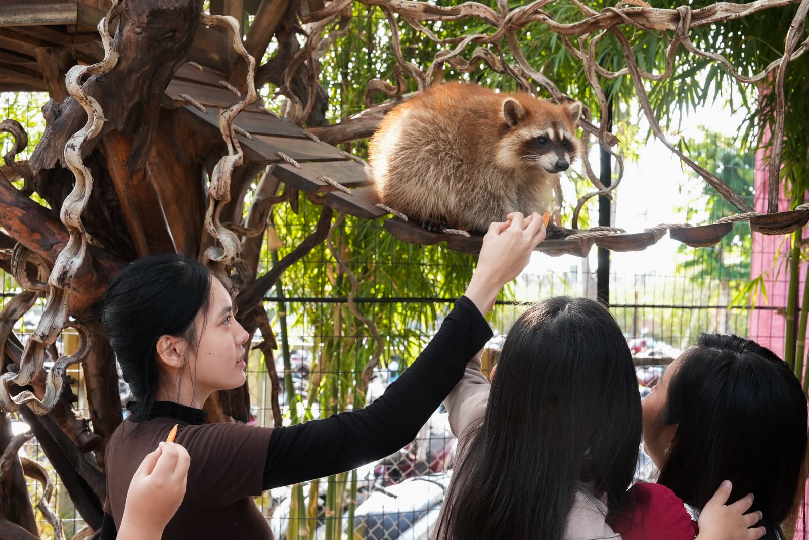 Ông Quan Farm - ảnh 10